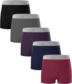 BAMBOO COOL Womens Bamboo Boxer Briefs Underwear Soft Stretch Boy Shorts Panties for Women