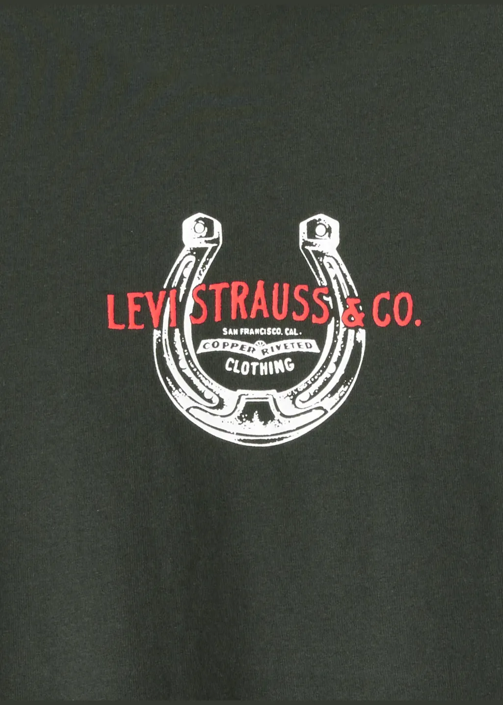 Levi's - Graphic Boxy T-shirt - Horseshoe Pirate Black