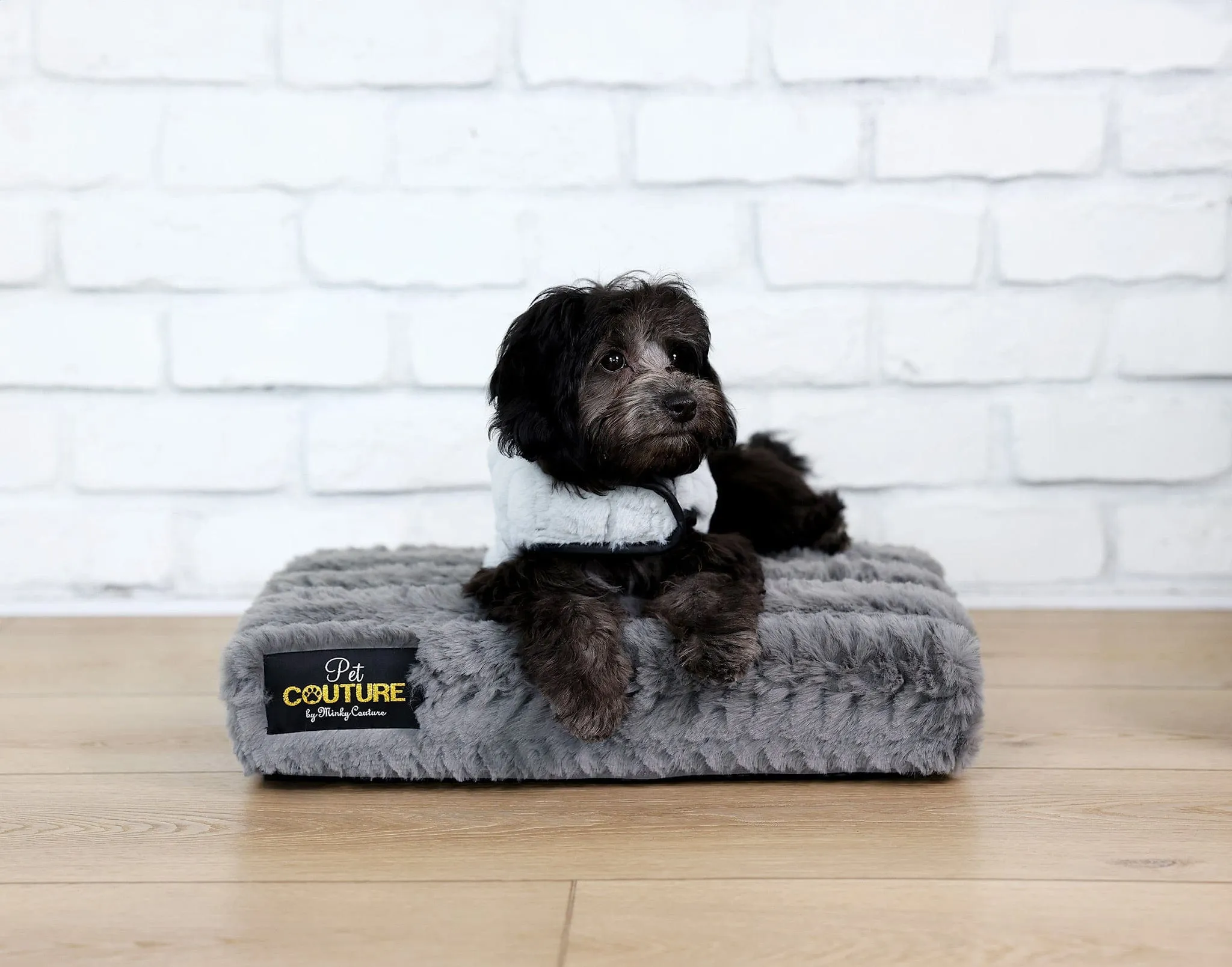 Pet Vest - Dark/Light Gray